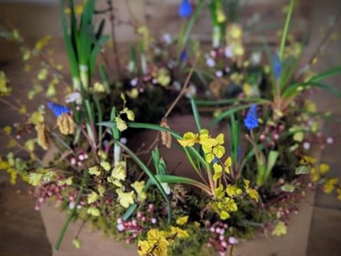 banbury spring wreath